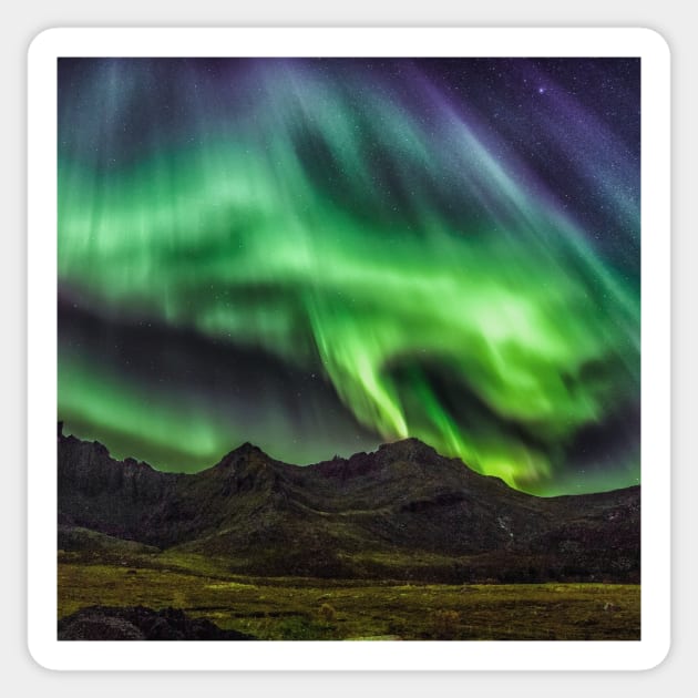 Aurora Borealis Sticker by NewWorldIsHere